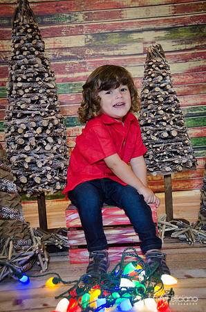 navidad 2014-11617