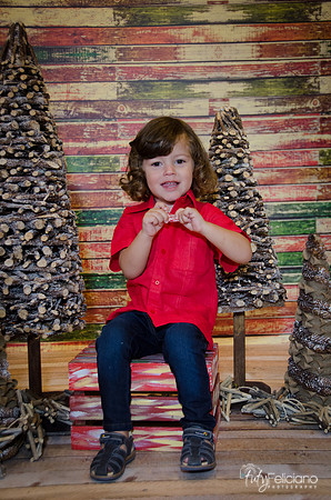 navidad 2014-11538