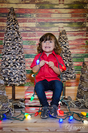 navidad 2014-11700