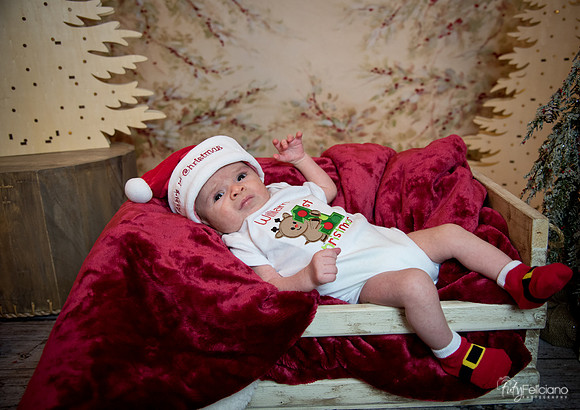 Navidad-3064