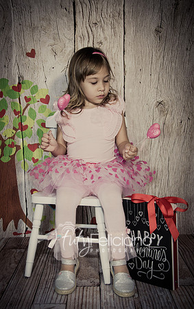 2014 Valentine-990