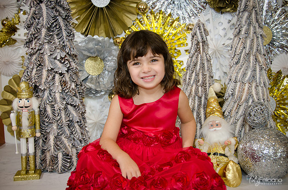 Navidad2014-121661
