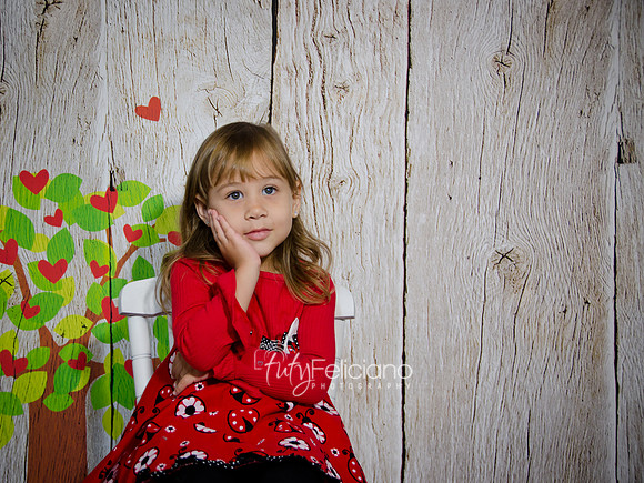 2014 Valentine-93