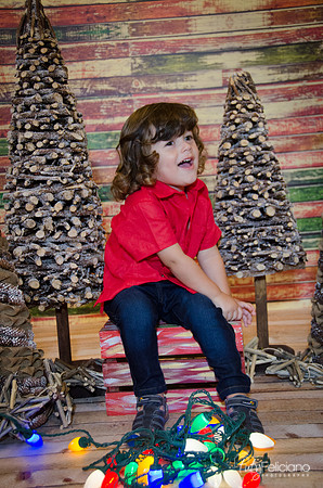 navidad 2014-11616
