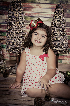 Navidad 2014-1087