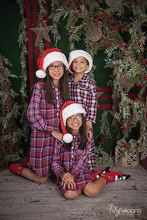 2017-Navidad-203