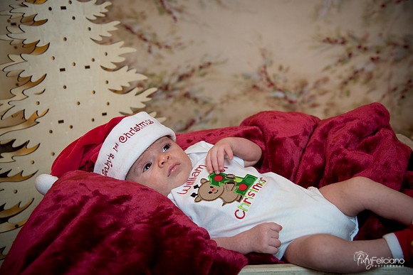 Navidad-3026