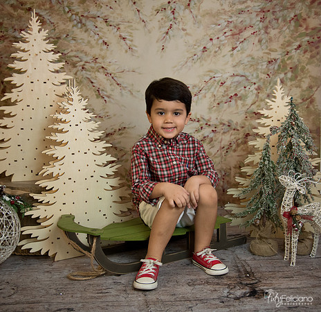Navidad-18553