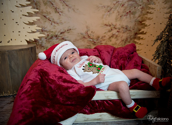 Navidad-3060