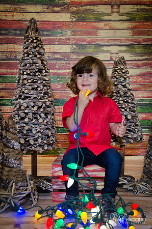 navidad 2014-11560