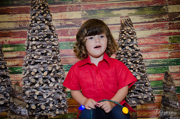 navidad 2014-11654