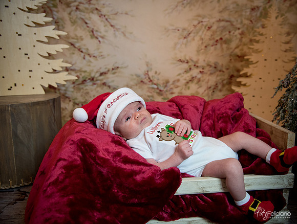 Navidad-3050