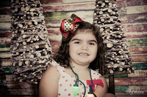 Navidad 2014-1074