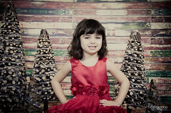 Navidad2014-121617