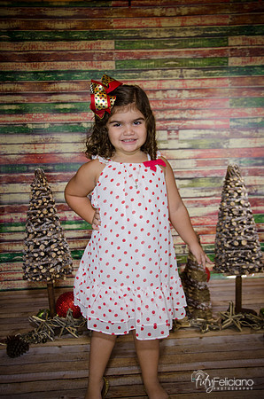Navidad 2014-1145
