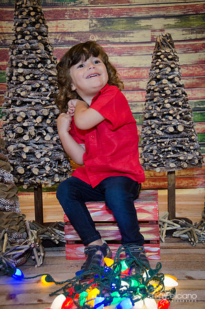 navidad 2014-11630