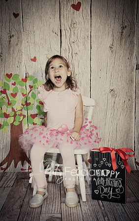 2014 Valentine-976