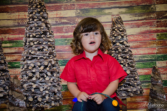 navidad 2014-11653