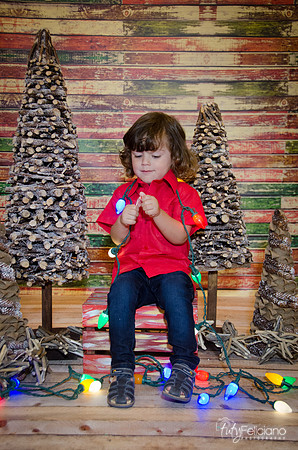 navidad 2014-11688