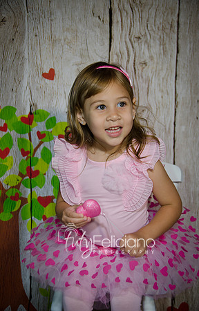 2014 Valentine-946