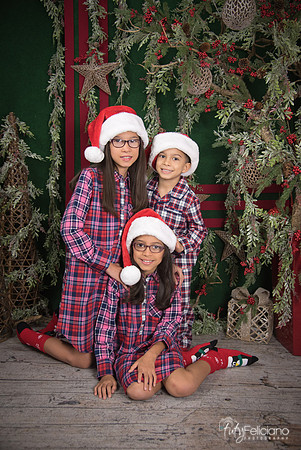 2017-Navidad-211