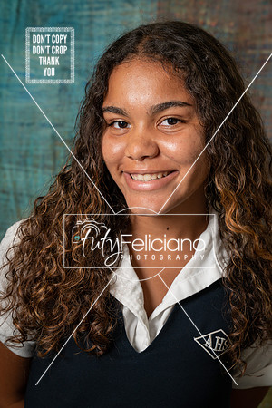 Adianez 3-1732