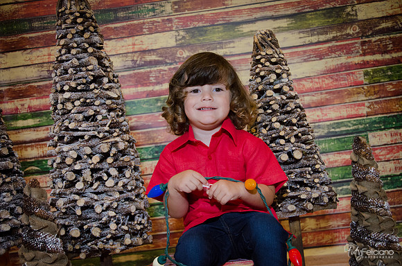 navidad 2014-11666