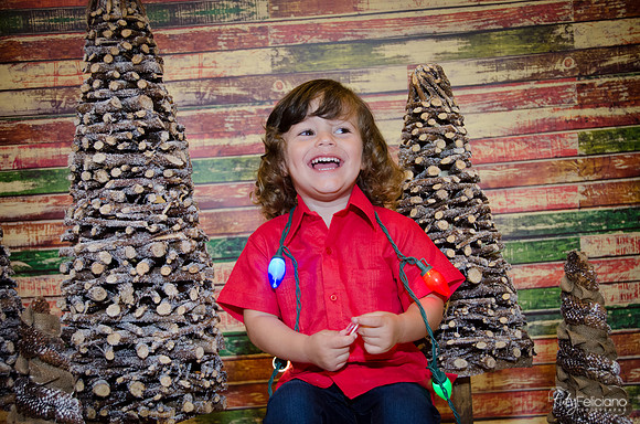 navidad 2014-11715