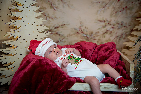 Navidad-3010