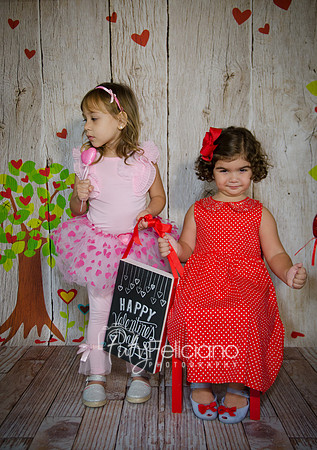 2014 Valentine-1214