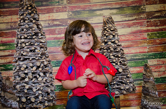 navidad 2014-11717