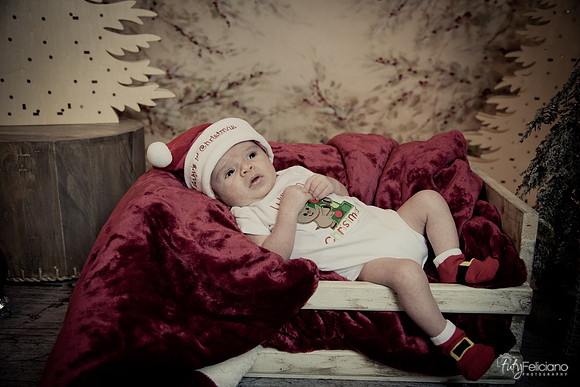 Navidad-3034