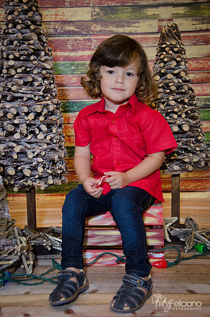 navidad 2014-11637