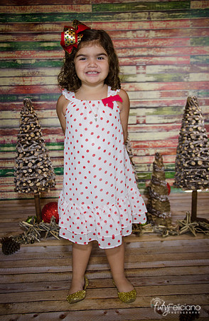 Navidad 2014-1144