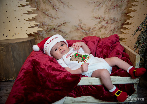Navidad-3065