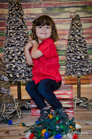 navidad 2014-11632