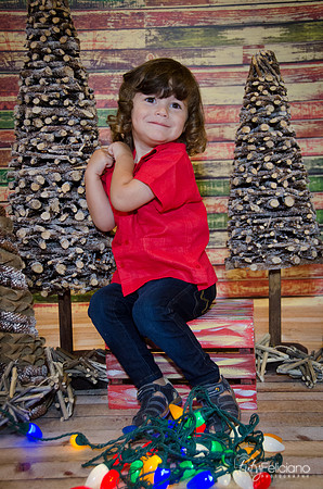 navidad 2014-11633