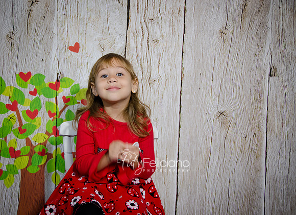 2014 Valentine-99