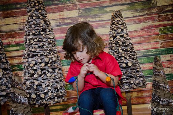 navidad 2014-11662