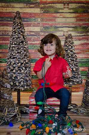 navidad 2014-11562