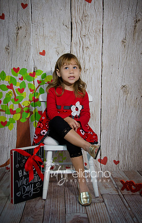 2014 Valentine-50