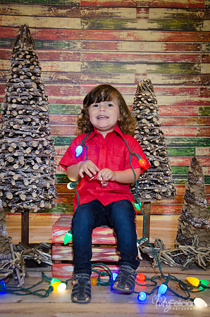navidad 2014-11689