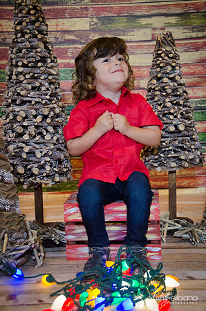 navidad 2014-11628