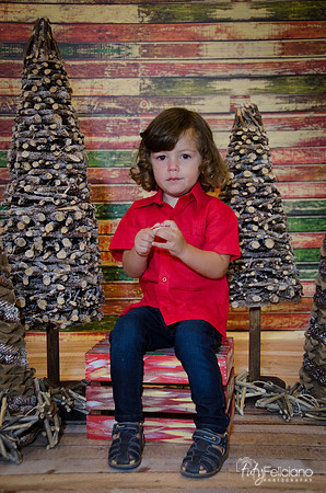 navidad 2014-11534