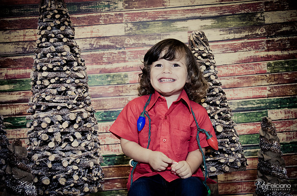 navidad 2014-11707