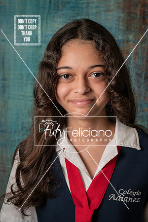 Adianez 3-1564