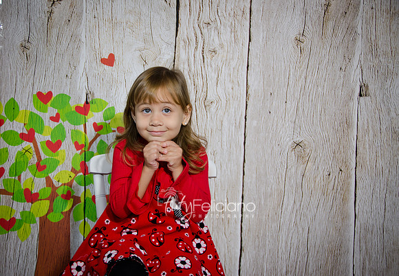2014 Valentine-97