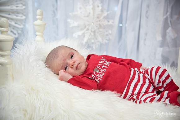 Navidad-2746