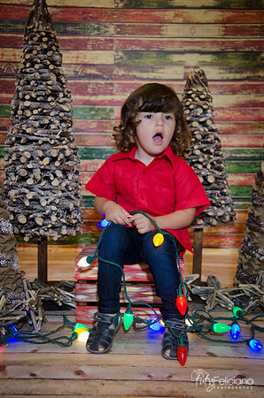 navidad 2014-11648