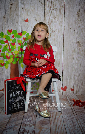 2014 Valentine-5